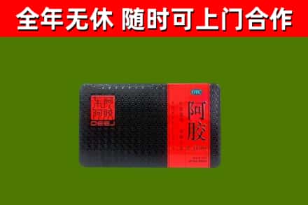 洞头回收阿胶