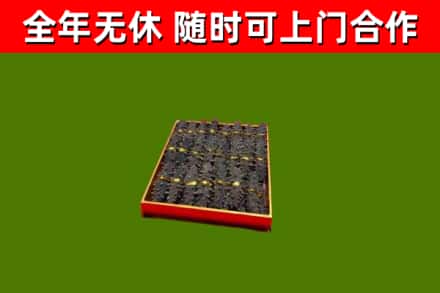 洞头回收海参